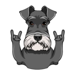 Bear and Schnauzer Studios