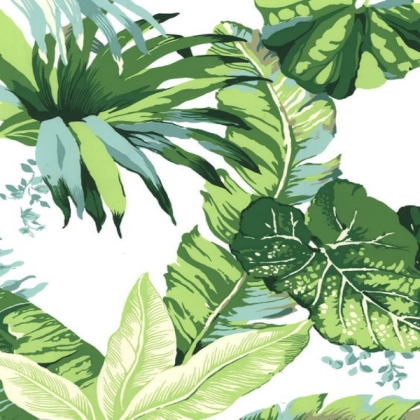 tropical wallpaper Roblox decal
