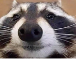 squideee