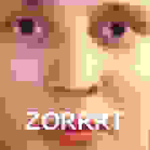 Rayz1N zort