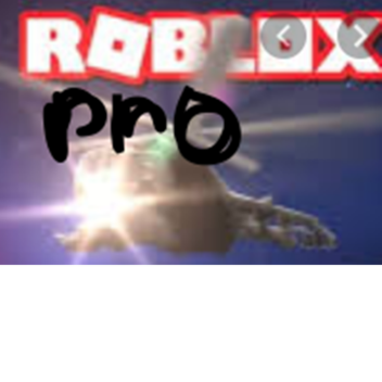 Project
