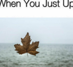 ayy