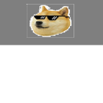 doge's only allowed