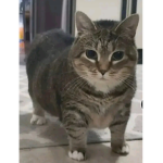 Dönerci Ekibi