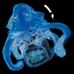 Warptacles