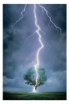 Thunderblitz