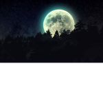 darkness in the middle of the night