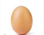 Egg infection