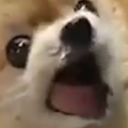 DutchDerpGamer707's Place Number: 18