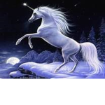 unicorns in this house