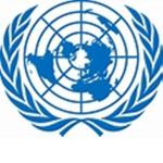 United Nations Security Council Coallition