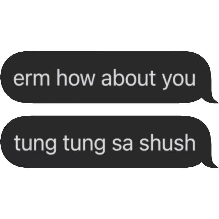 tung tung sa shush