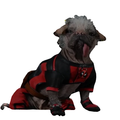 Item Thumbnail