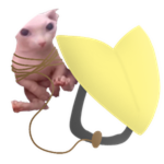 Gliding Bingus