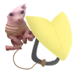 Gliding Bingus