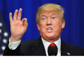 POOL PARTY + DISCO + ADMIN