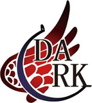暗 Dark Reunion い