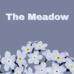Meadow.