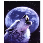 Wolves of the arctic