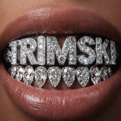 Trimski Roblox group icon