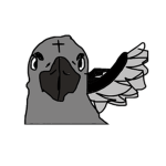 The Raven’s