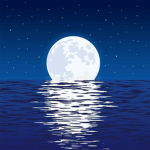 Blue Dreams - Next Blue Studio