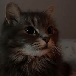 ><