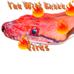 The Wild Snake Fires