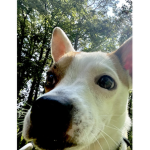 This is my dog-.-