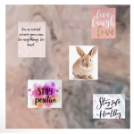 ~Beautiful Bunnies~