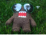 Domo livers