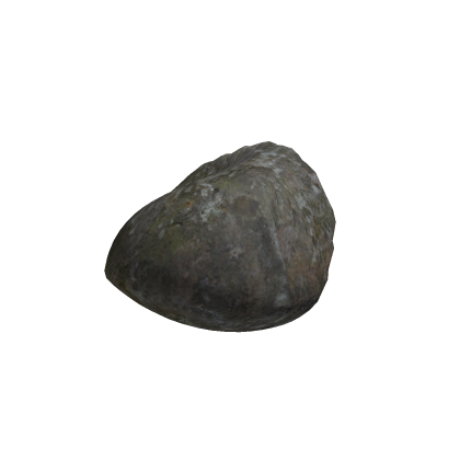 a simple rock