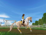 Horse people! And horse fans