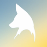 Tinyfox Builds Dev