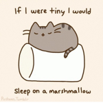 the marshmallow sleepers