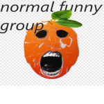 A Normal Funny Group