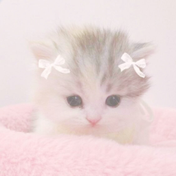♡