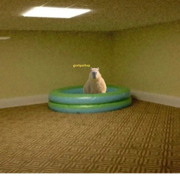 capyrooms