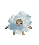Clouds are fluffy and cute