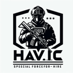 H.A.V.I.C. Corporation