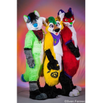 -Furry Car Group-