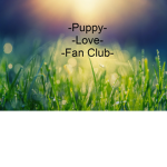Puppy love Fan Club
