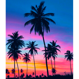 Vibe Sanity