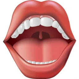 Mouth icon