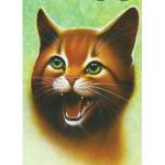 Warrior Cats Nation Studios