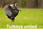 Turkeys/chickens United