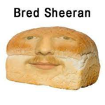 Bred Squad the Complete Edition