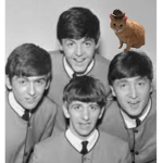 *The Beatles Squad*