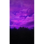 CLOUDYDAY$ CLOTHING