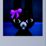 ~ ʟɪᴀ's ʟᴏᴠᴇs ~